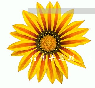 信用卡逾期 五次 信用卡逾期 五次